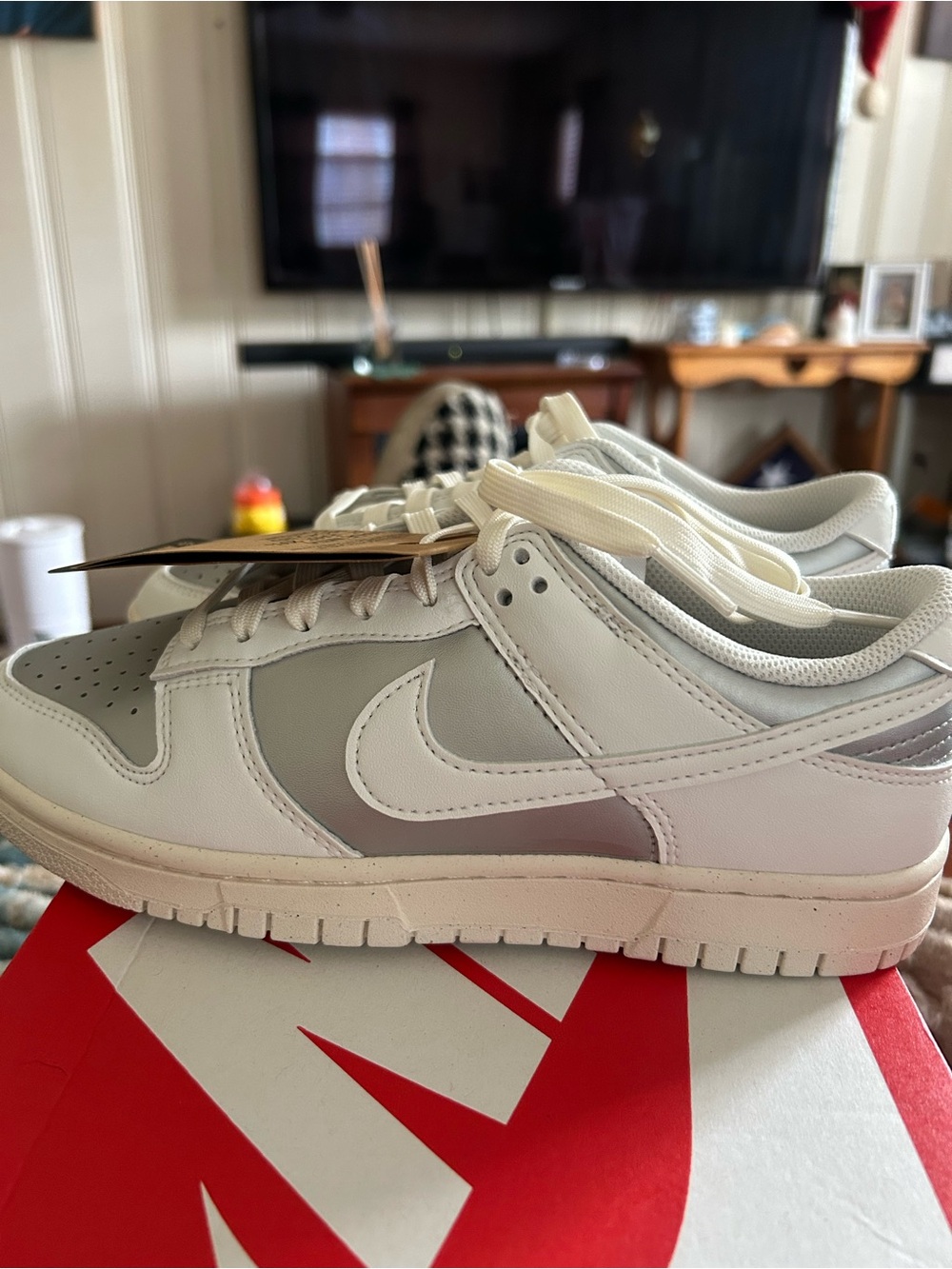 Women’s Nike Dunk Low White Silver Low-Top Sneakers extra shoestrings, new